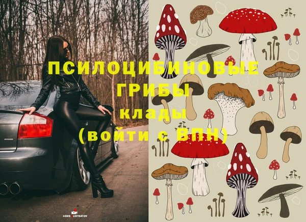 гашик Верхнеуральск