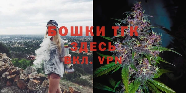 экстази Бородино