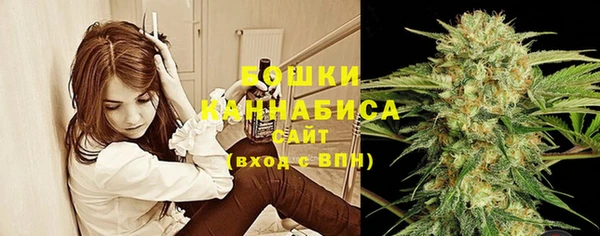 экстази Бородино