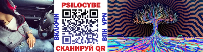 Галлюциногенные грибы мицелий  дарнет шоп  blacksprut   Вязники 