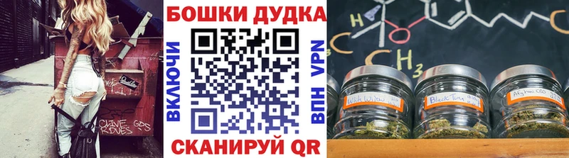 наркотики  Вязники  Бошки марихуана индика 